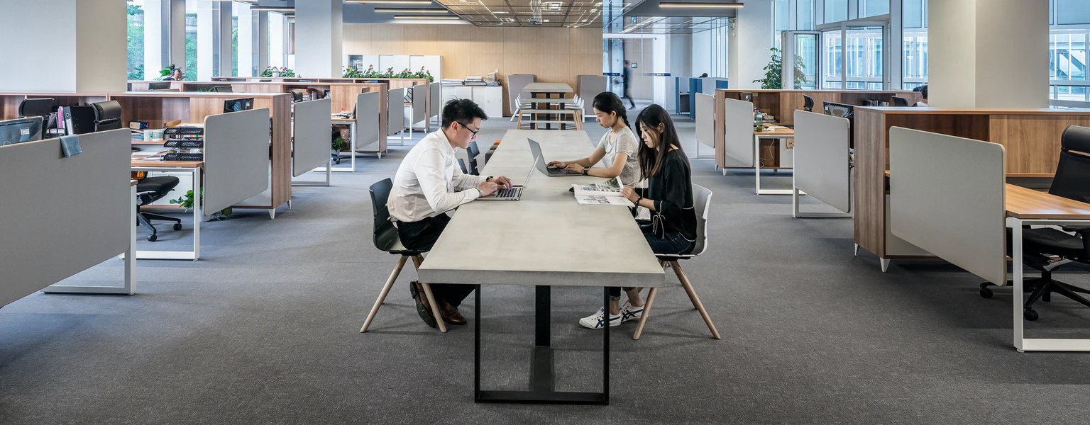 Meet The Team