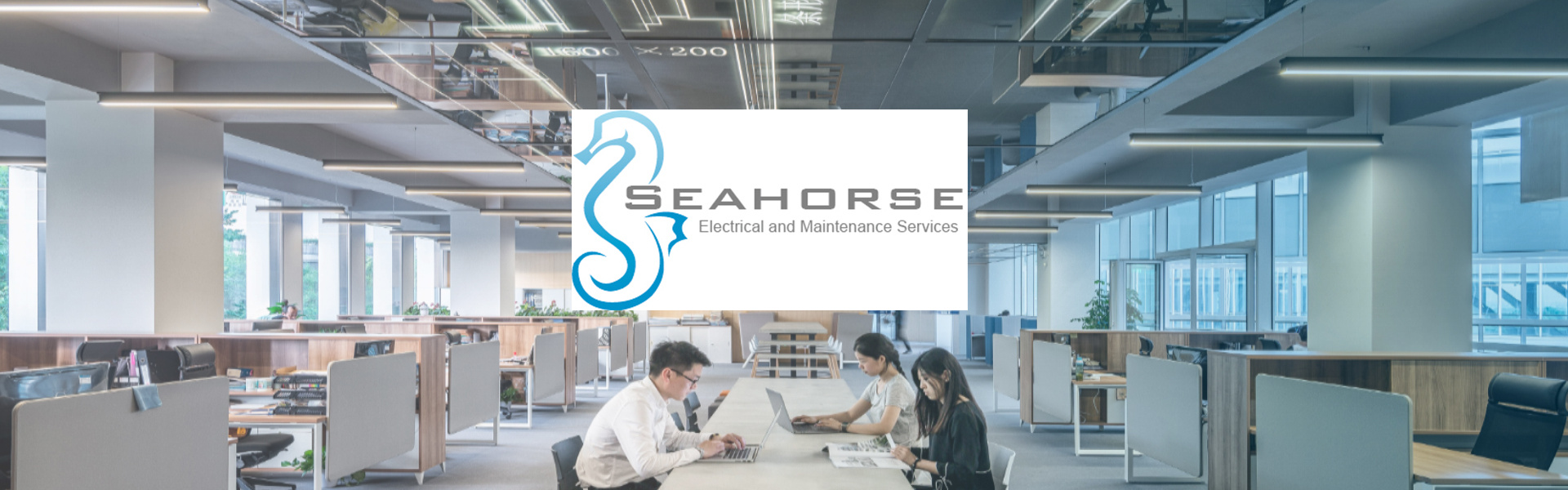 Seahorse Home Seahorse home